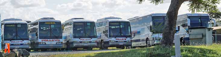 Polleys Denning Silver Phoenix Baron, Daewoo BH117L P&D Jabiru & Dennings Flame and Rover and a Bonluck